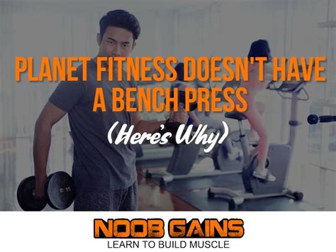 Planet Fitness Doesnt Have a Bench Press (Heres Why) | Planet fitness workout, Bench press ...