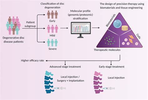 Intervertebral Disc Degeneration Biomaterials And Tissue Engineering