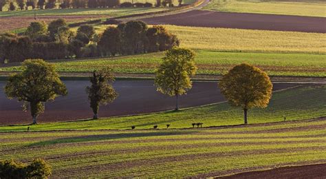 Inra Les Enjeux Qui Vont R Volutionner L Agriculture Up Magazine