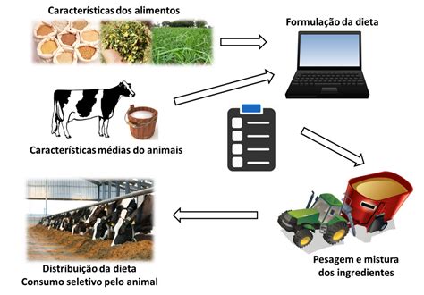 Como A Nutri O De Precis O Pode Melhorar A Efici Ncia Na Produ O