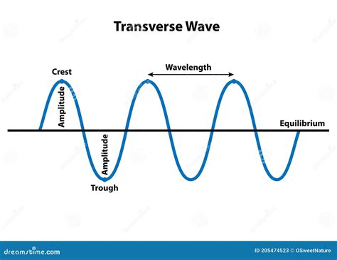 Propiedades De Onda Transversal De La Longitud De Onda Ilustraci N Del