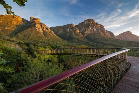 Download Kirstenbosch Bridge Cape Town Wallpaper