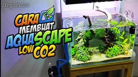 Membuat Aquascape Untuk Pemula Youtube