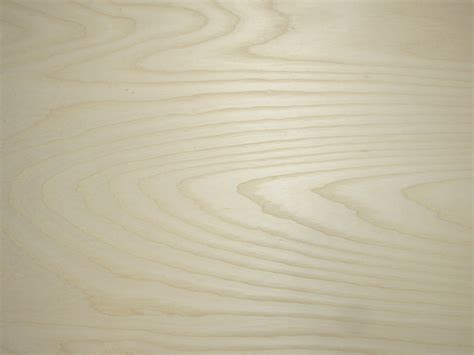 Ash White Plywood Full Sheets 48x96 4 X 8