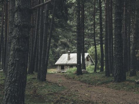 Huis In Bos Kopen Tips Huisje In Bos Kopen