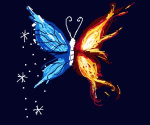 Fire & ice Butterfly - Drawception