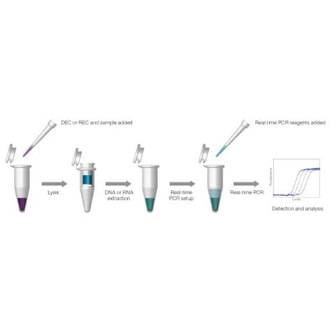 QPCR Extraction Control Red Ecogen