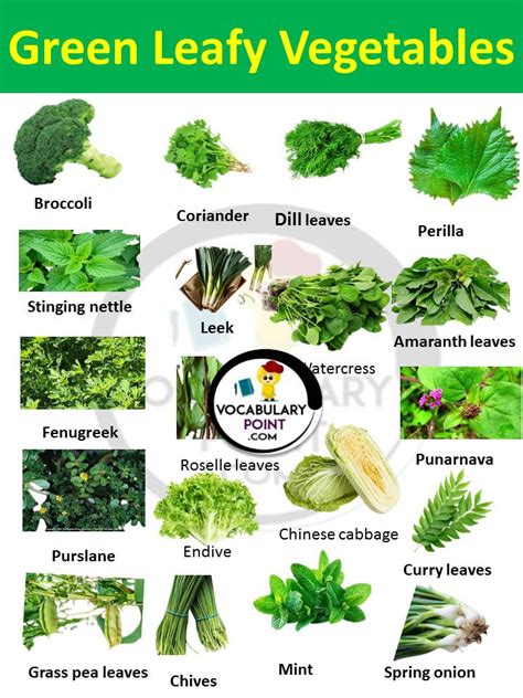 Leafy Green Vegetables List