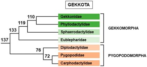 Genes Free Full Text Sex Chromosomes And Master Sex Determining