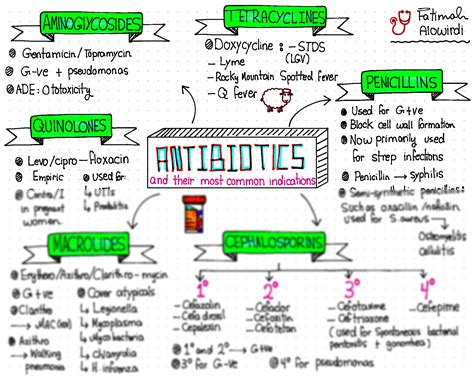 SOLUTION Infectious Diseases Antibiotics Summary Studypool