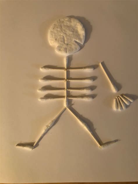 diy skeleton anatomy project