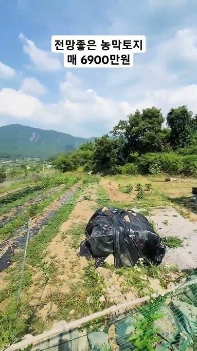 토지974 전망좋은 토지위에 농막물~손해보고 파는땅 밀양부동산 밀양토지매매 밀양땅매매 밀양주말농장 밀양주말텃밭