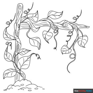 Vines Coloring Page | Easy Drawing Guides