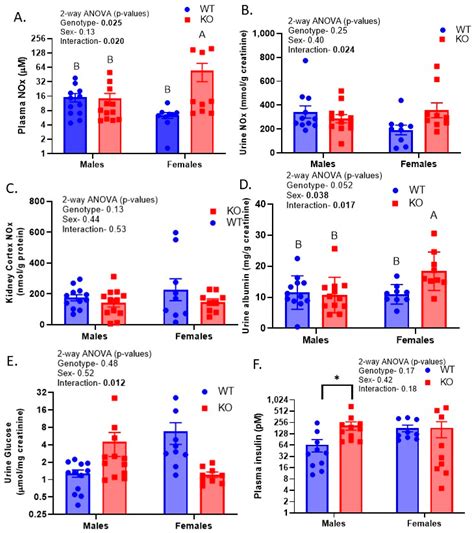 Ijms Free Full Text Sex Modulates Response To Renal Tubule Targeted