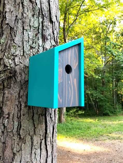 Birdhouse Modern Wooden Birdhouse Minimalist Blue Fiji With Etsy