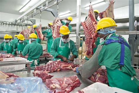 Meatco Criticised for Underselling Beef on Foreign Markets - The