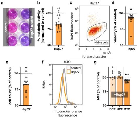 Extracellular Heat Shock Protein 27 Is Released By Plasma Treated