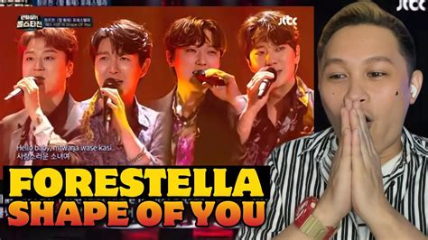 Forestella 포레스텔라 Shape Of You Reaction Youtube