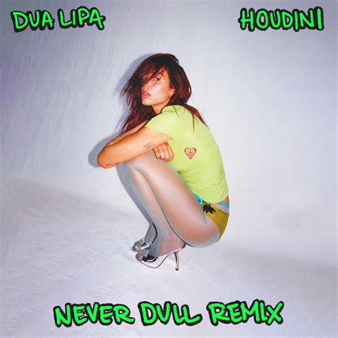 Dua Lipa - Houdini (Never Dull Remix) | Never Dull