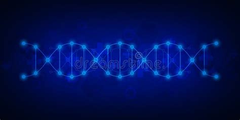 Filamento De La DNA Y Estructura Molecular Investigación De La