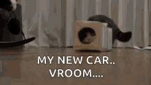 Cat In Box Cat Meme GIF - Cat In Box Cat Meme Cats - Discover & Share GIFs