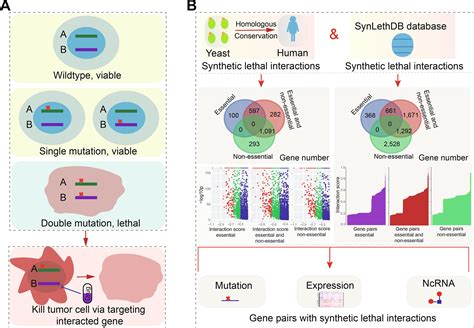 Integrative Omics Analysis Reveals Relationships Of Genes With