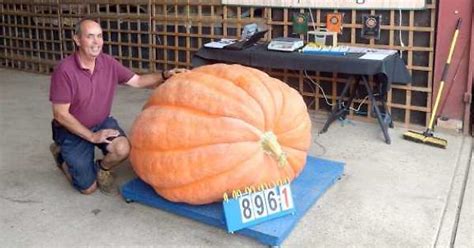 Nursery owner wins own heaviest pumpkin contest - Henley Standard