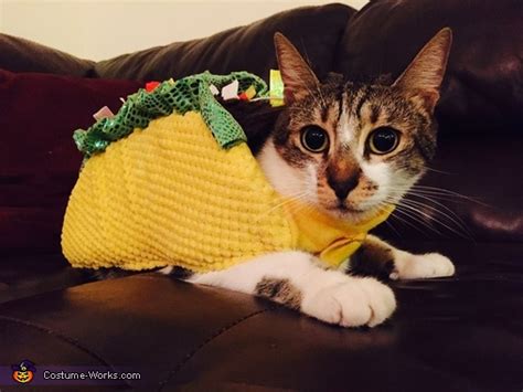 Taco Cat Costume