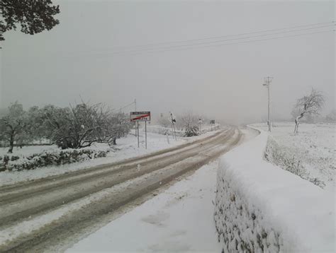 Maltempo Tanta Neve In Puglia Imbiancata La Costa A Bari Le Foto