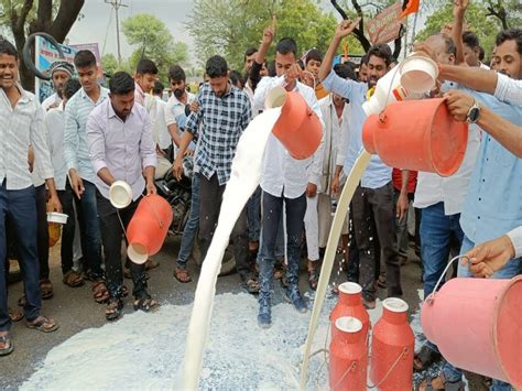 बीडमध्ये दूध उत्पादक शेतकऱ्यांचा दरवाढीसाठी रास्तारोको Marathi News Roadblock At Jarud For