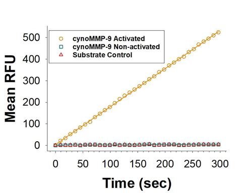 Recombinant Cynomolgus Monkey Mmp Protein Cf Mp R D Systems