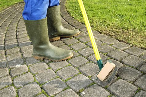 Jak Usun Mech Z Kostki Domowe Sposoby Jak Pozby Si Mchu Z Kostki