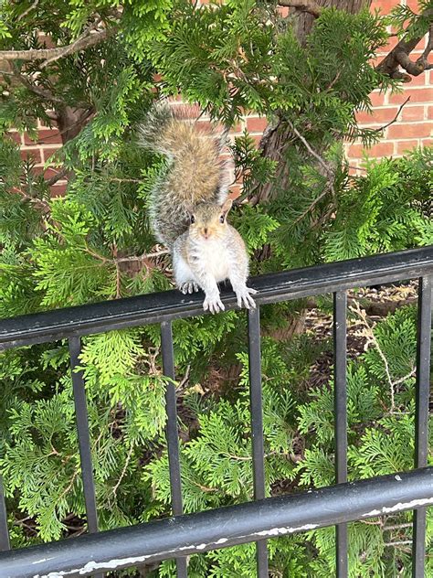 After four years, I finally made a friend in my time at UMD : r/UMD