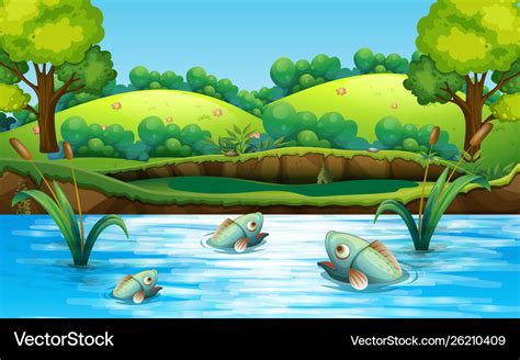 Fish In Pond Royalty Free Vector Image Vectorstock