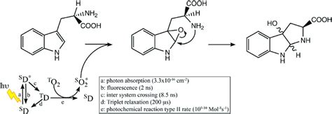 Schematic Representation Of The Photoinduced Oxidocyclization Of