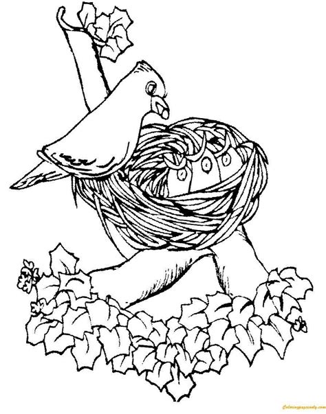 Nest Bird Drawing Coloring Pages Clipartmag Sketch Coloring Page