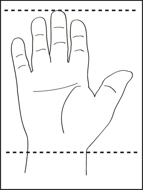 Batting Gloves Sizing Guide - How To Choose A Pair Of Batting Gloves