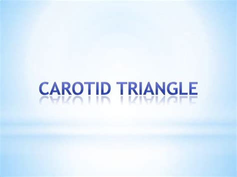 3 carotid triangle___9th_10th_cn | PPT