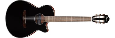 Ibanez AEG10NII Nylon String Cutaway Acoustic Electric Guitar REVIEW