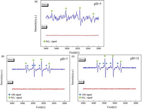 Epr Spectrum For Dmpo Oh And Dmpo So Obtained In The Cu O Pds