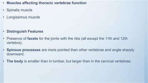 Radiographic Anatomy Of Thoracic Lumbar Spine Sacrum And Coccyx Ppt