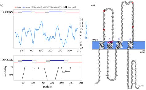 A Consensus Prediction Of Membrane Protein Topology Using Topcons