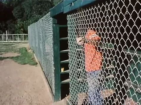 Nothing To Hide 1981 Retro Retro Porn Feat Raven Turner XHamster