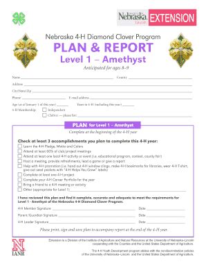 Fillable Online H Unl Plan Report Fax Email Print Pdffiller