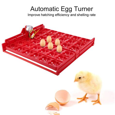 36 Eggs 144 Bird Eggs Incubator Hatcher Automatic Egg Turning Tray Tool 220v Motor