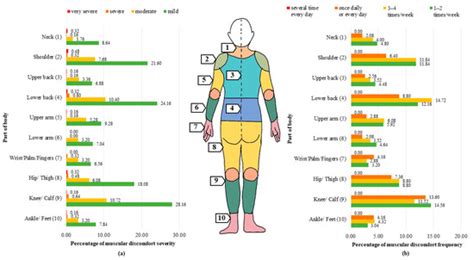 Safety Free Full Text Musculoskeletal Disorders Among Agricultural