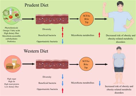 Frontiers Dietary Patterns Interfere With Gut Microbiota To Combat