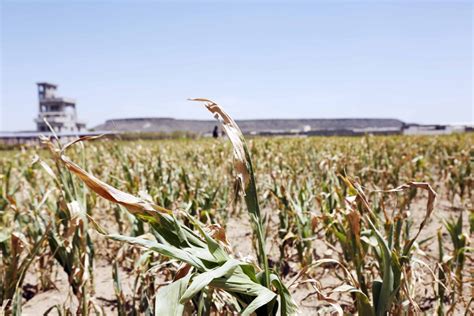 Ekstremna suša i klimatska kriza pogodile Jemen 17 miliona ljudi bez