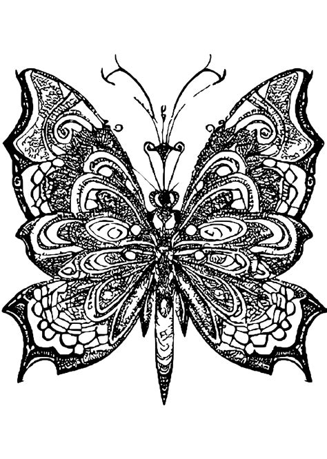 Beautiful Butterfly Mandala Coloring Page · Creative Fabrica