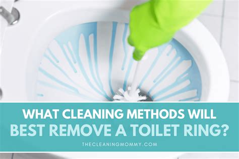 How To Get Rid Of Toilet Bowl Ring 10 Brilliant Ideas The Cleaning